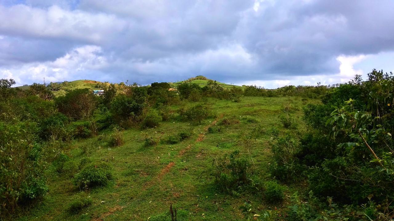 Vagamon Clouds Hotel Exterior photo